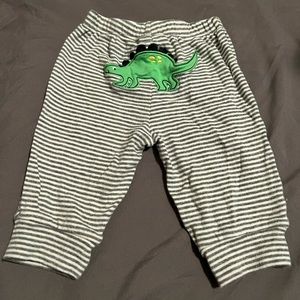 Dinosaur baby but cotton cozies